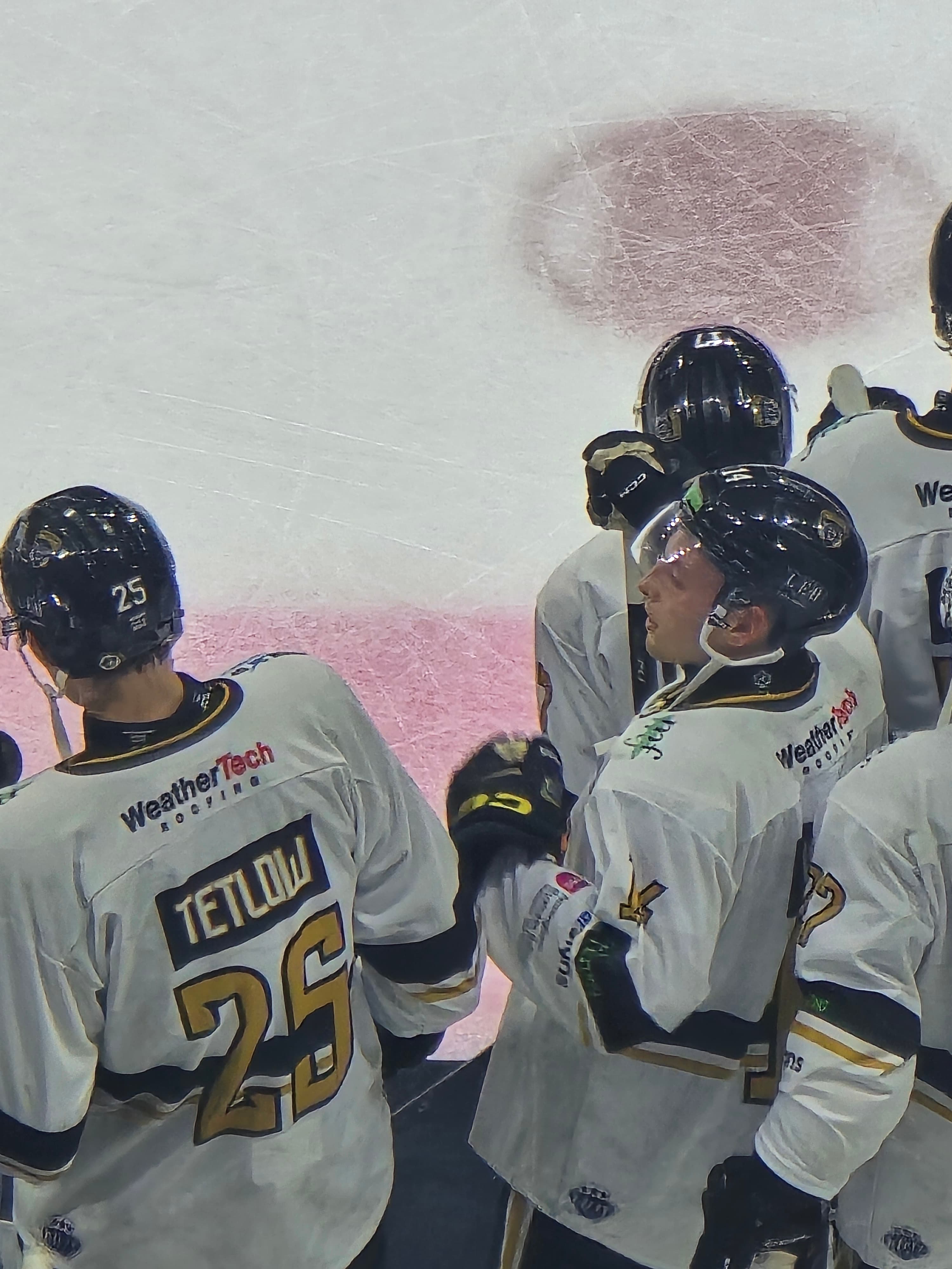Nottingham Panthers ice hockey players wearing WeatherTech Roofing-sponsored jerseys